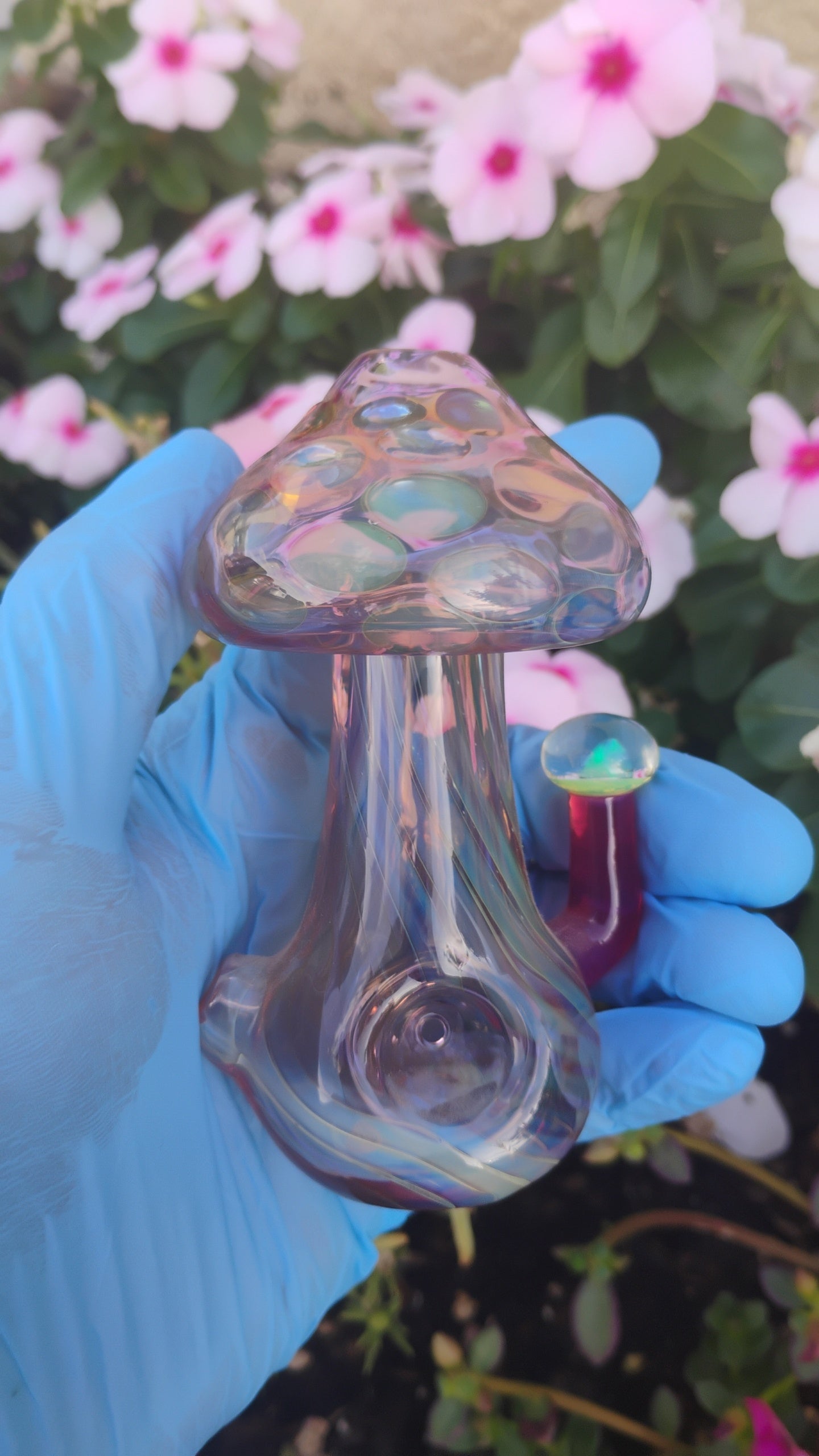Glass 🍄 Piece