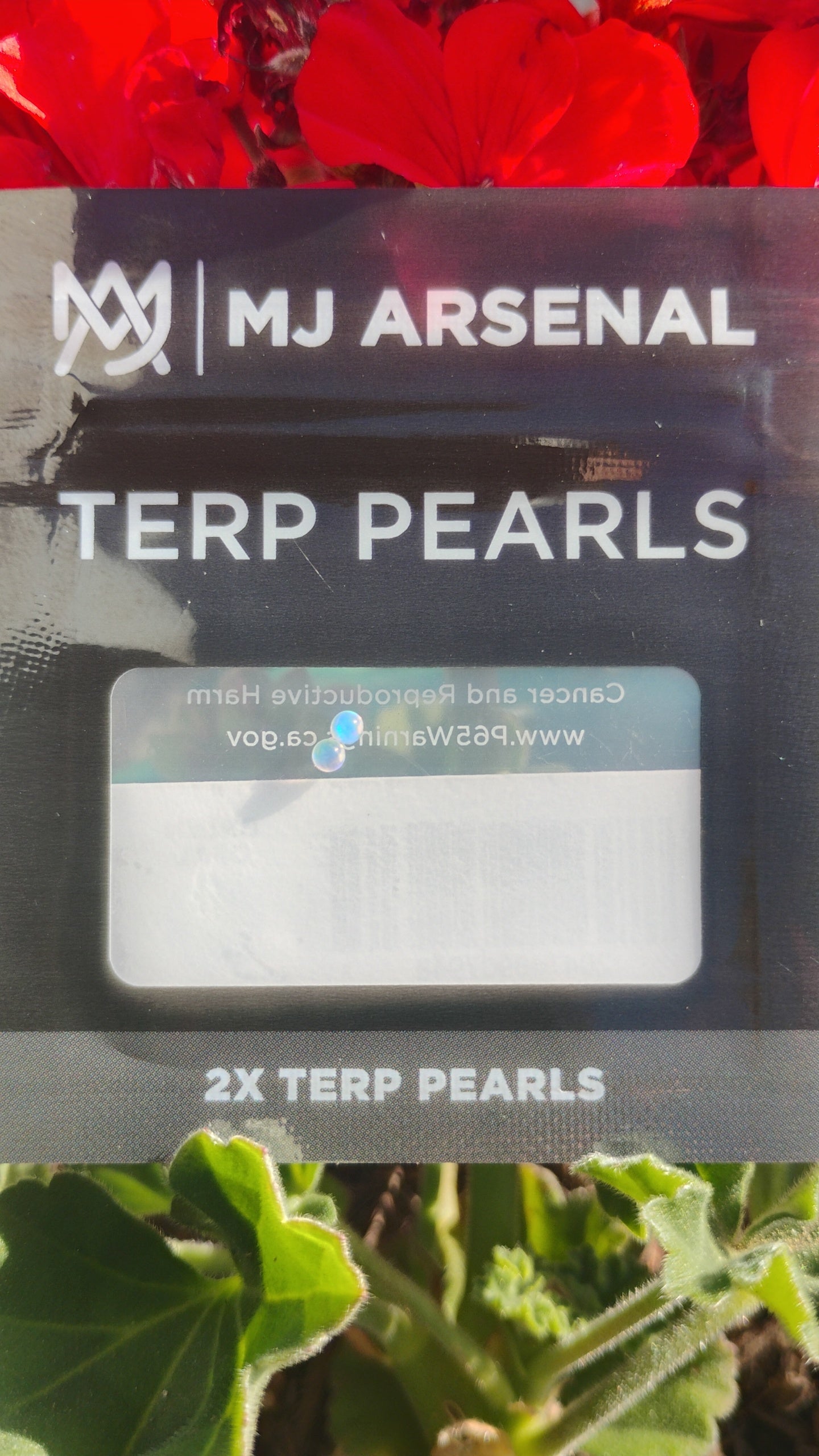 Opal Terp Pearls