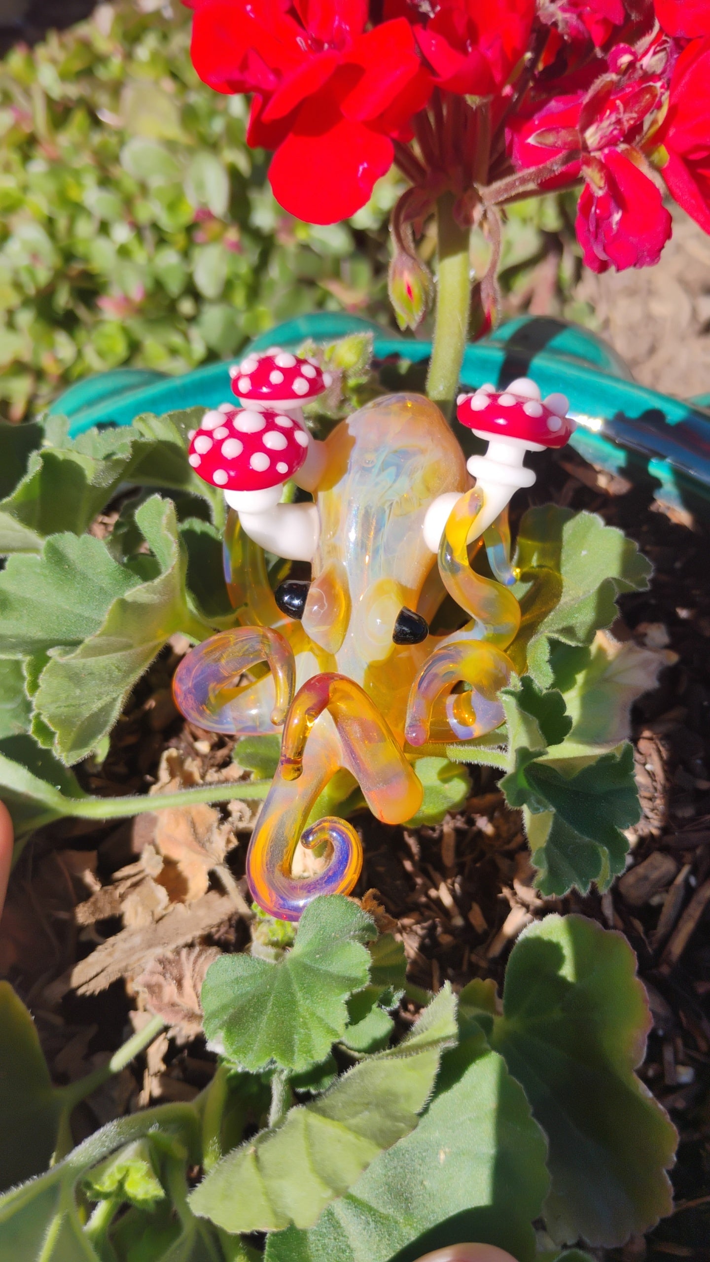 Izzy x Jcreature Collab 🍄 Octopus